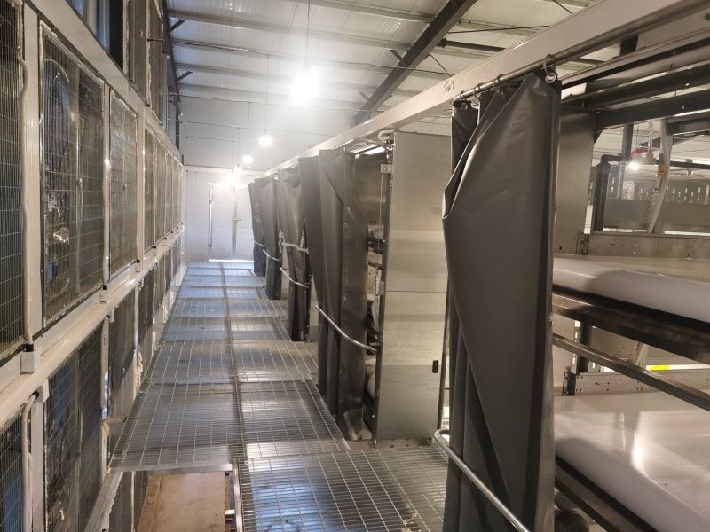 夏季肉雞的飼養管理